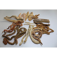 Sec Bibi Leurre De Pêche Appât De Poisson AlotFish