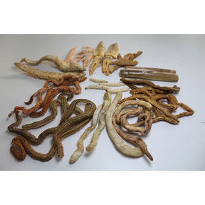 Sec <span class=keywords><strong>Bibi</strong></span> Leurre De Pêche Appât De Poisson AlotFish - Product Image 3