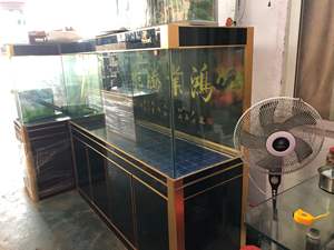 Retangular grande acrílico personalizado tamanho do aquário do tanque de peixes com parte inferior e tampa vidro temperado retangular tanque de peixes - Product Image 5