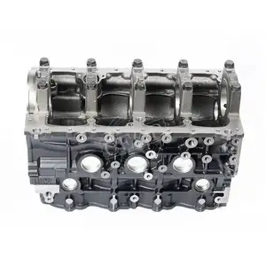 2024 vendita calda diesel motore 4JB1-CN blocco cilindri per ISUZU NKR55 JMC 1030