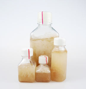 Filtre à cartouche stérilisant Dmem avec sérum bovin fœtal, sérum bovin nouveau-né, culture cellulaire, 0,22 µm, pour la production de vaccins - Product Image 2