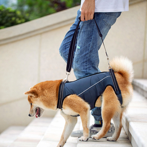 Rehabilitasyon Sling asansör tam vücut emniyet kemeri engelli eklem yaralanmaları artrit Pet köpek kurtarma asansör yelek taşıyıcı - Product Image 2
