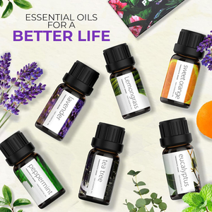 Ensemble d'huiles essentielles <span class=keywords><strong>de</strong></span> <span class=keywords><strong>lavande</strong></span> 100% pures avec étiquette personnalisée, pour échantillon gratuit <span class=keywords><strong>de</strong></span> qualité supérieure, aromathérapie, soin <span class=keywords><strong>de</strong></span> <span class=keywords><strong>la</strong></span> peau, massage corporel pour femmes, spa - Product Image 2