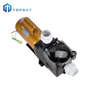 Il produttore vende 2HP pompa per piscina con pompa per piscina - Product Image 3