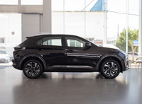 Comprar coches de nueva tecnología de alta velocidad Motor Neta U EV SUV compacto