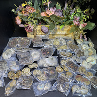 Ammonites naturelles en gros, paire d'ammonites de Madagascar, chrysanthème, escargot, coquille fendue, fossiles d'ammonites, tranches pour la décoration