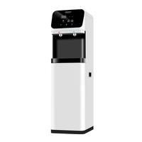 Purificateur d'eau riche en hydrogène 100G RO avec écran publicitaire LCD 13,3 pouces, électrolyse micro-nano minérale, glace et eau chaude, pour hôtels, foyers et extérieur