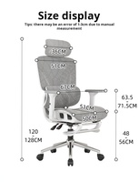 Chaise ergonomique adaptative à soutien lombaire |   Maille de dragon |   155 °   Recliner |   Accoudoir 6D |   Chaise de bureau avec soutien postural