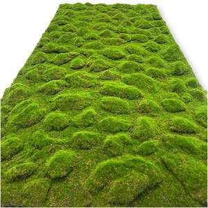 Tapis <span class=keywords><strong>d</strong></span>'herbe artificielle, <span class=keywords><strong>mini</strong></span>-plante verte, <span class=keywords><strong>d</strong></span>écoration en mousse, tapis vert hyper réaliste pour salon, herbe artificielle - Product Image 6