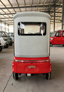 Tricycle passager 60 km/h à succès avec carrosserie fermée et portes – Ce tricycle adulte est équipé d'un moteur haute performance de 800 W - Product Image 3