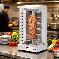 Machine à shawarma au gaz à 10 brûleurs en acier inoxydable, nouvelle conception, pour viande, grill rotatif commercial pour kebab avec une bonne vanne
