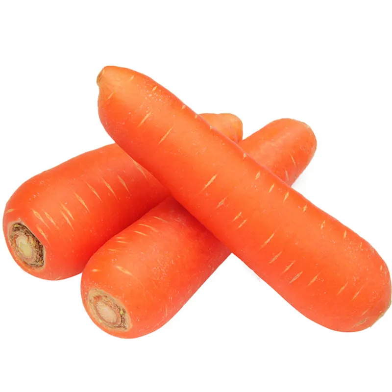 Carota lavata con acqua di carote fresche biologiche di fabbrica cinese