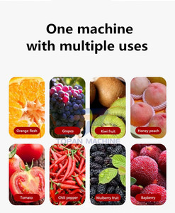 Papaye dưa xoài cà chua mận Kiwi pitaya puree làm rau quả rỗ Máy Nghiền giá - Product Image 5