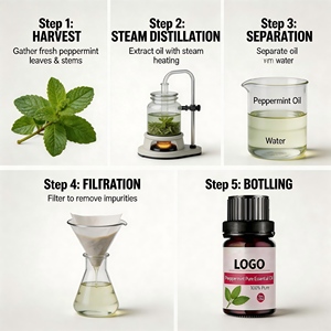 Оптовая продажа высококачественного 100% чистого натурального эфирного масла мяты перечной, дистиллированного паром, 10 мл, для ароматерапевтических диффузоров, подходит для всех типов кожи - Product Image 3