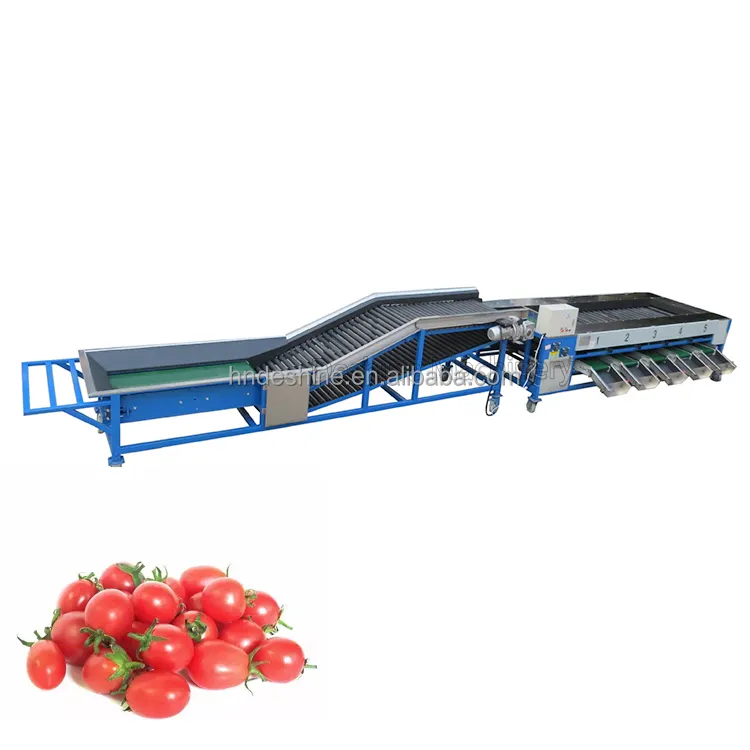 High Quality Fruit And Vegetables Classification Machine/ Potato Sorting Machine