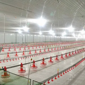 Automatic Broiler Raising System Poultry Equipment Plastic Slat Floor for chicken farm