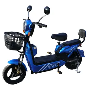China billige Elektro fahrrad Kit E Fahrrad Elektro fahrrad 350W 14 Zoll Lithium batterie 48V 12AH Bürstenloser Motor