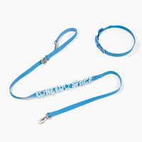 Ensemble collier et laisse pour chien en silicone coloré avec breloques personnalisées pour accessoires de promenade sur mesure