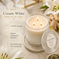 Bougie parfumée artisanale en cire de soja AIKUN de qualité supérieure, 3 mèches, verre ombré, emballage personnalisé, pour boutique de cadeaux de luxe