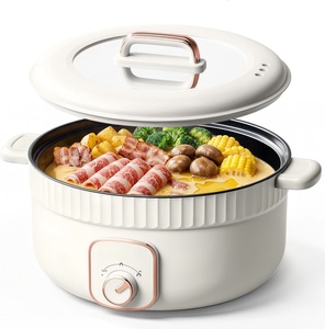 Olla Eléctrica Doméstica Antiadherente, Mini Arrocera Portátil con Tapa de Vidrio Templado y Cuerpo de Hierro Fundido - Product Image 1