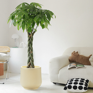 Fleid Contemporary Floor Vase Lightweight Durable Polyethylene Eco-Friendly Reusable Fade Resistant Unbreakable Wide Mouth High - Product Image 3