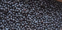 China Leverancier Lqf Berry Tru Fru Bulk Wilde Bevroren Bosbessen Met Water Behoud Prijs Vruchten