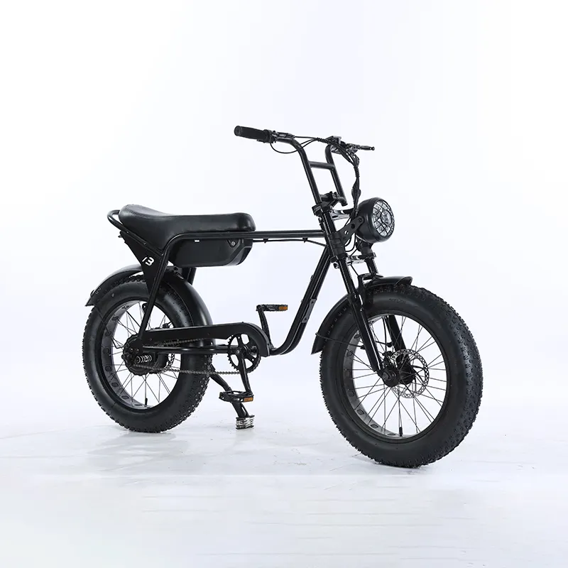 초강력 빠른 배달 20 인치 전기 자전거 48V 25Ah 리튬 배터리 1000w 모터 73 팻 타이어 전기 자전거