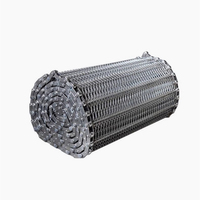 Bande transporteuse résistante aux hautes températures, four tunnel pour aliments congelés, bande transporteuse en maille métallique, bande transporteuse en maille tissée métallique