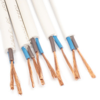 Rvv-Kabel 220V 300 500V Rvv 3x2,5mm² Elektrische Kabel Flexibles Kabel