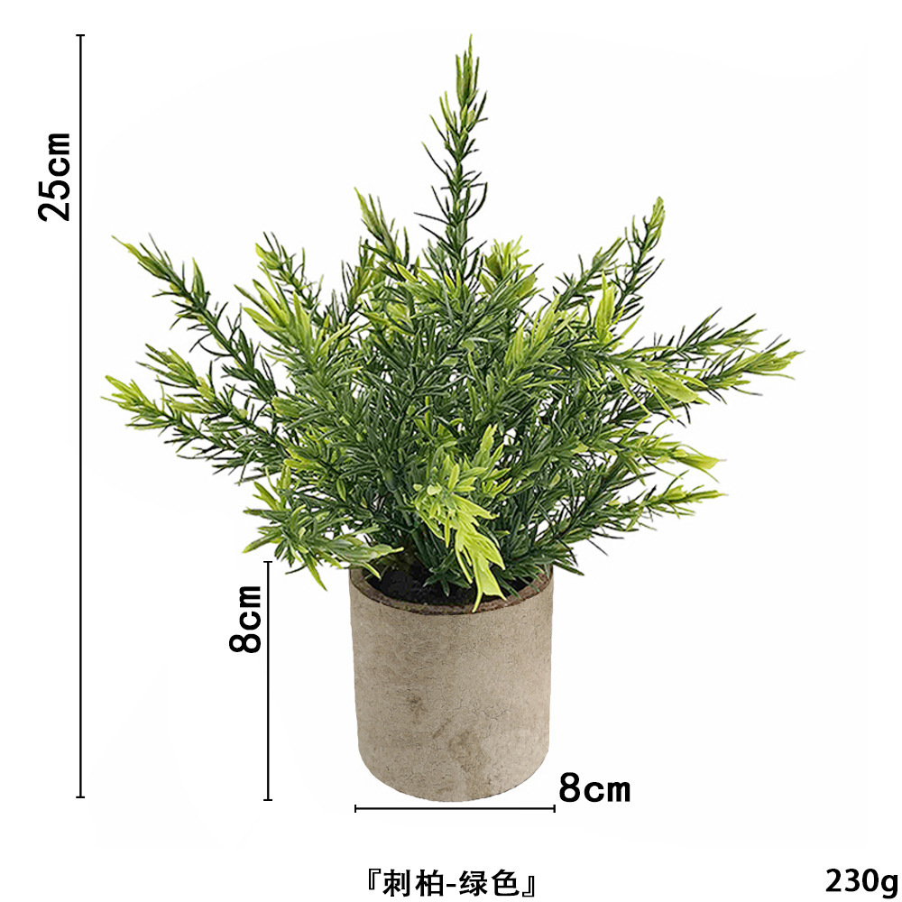 Cyprès épineux sans poudre ahe364-069