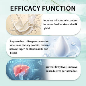 Additifs alimentaires à libération prolongée de lysine protégée par un revêtement pour vaches laitières 25 kg/sac FARMJEWEL – Optimisation du rendement laitier, des protéines et des graisses - Product Image 3