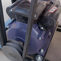 Hacheuse de Fourrage Électrique Diesel QP Neuve, Capacité 4,8 t/h, 3 kW, pour Entreprises d'Alimentation Animale, Économique, Haute Précision, Faible Entretien