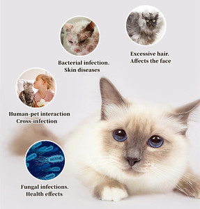 Pet Coat Self-cleaning Cat Comb Beauty Pet Hair Removal Dog <b>Skateboard</b> Brush - Product Image 2