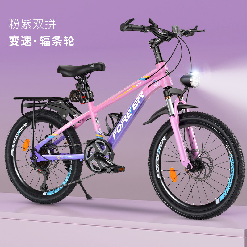 Gris-bleu (roue intégrée à une vitesse)