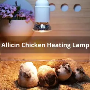 Lámpara de Cuarzo para Calentamiento y Aislamiento Térmico, UVB3.0, <span class=keywords><strong>Fisioterapia</strong></span>, Incubación, Cría de Reptiles, Aves, Pollos y Patos, Calcio - Product Image 4