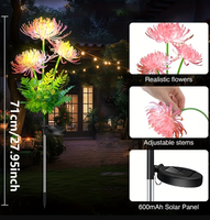 Lampe solaire décorative en forme de fleur pour l'équinoxe, idéale pour l'aménagement extérieur de patio, porche, allée, festivals, anniversaires, ou comme veilleuse romantique.