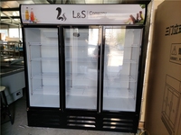 Réfrigérateur à boissons vertical à porte vitrée, vitrine commerciale, refroidisseur de boissons instantané à bas prix