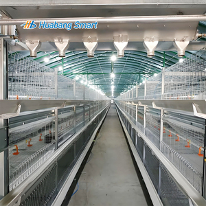 Attrezzature agricole all'ingrosso H tipo 3/4 livelli gabbie per l'allevamento di anatre - Product Image 3