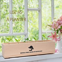 Kit de plantation d'arbres bonsaïs écologiques avec un design mignon et un kit de démarrage pour une utilisation à domicile, cadeau DIY pour adultes