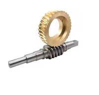 Fabrication en usine de roues à vis sans fin en métal, acier et laiton de précision pour machines-outils à prix abordable