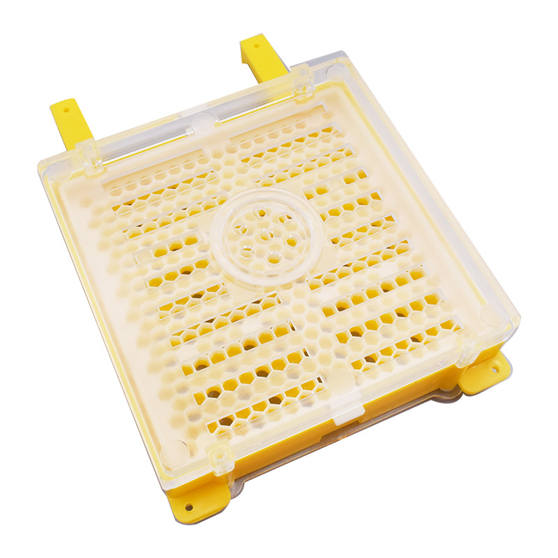 Plastic Queen Rearing System Queen Breeding Tool Kit Beekeeping Tools For Queen Bee