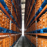 Fabricant de rayonnages à navette, étagères métalliques, stockage vertical, système de rayonnage ASRS, unités de rayonnage pour entrepôt