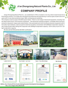 Olio da Massaggio 100% Naturale con Estratti Vegetali, Idratante per Viso e Corpo, Olio Riscaldante per Massaggi Mestruali - Product Image 6