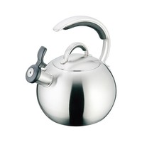 Bouilloire à thé en acier inoxydable poli, compatible induction et gaz, design moderne et écologique pour la maison et les hôtels, eau bouillante de haute qualité