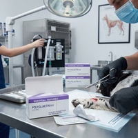 Aiguilles et fils de suture chirurgicaux de qualité médicale pour animaux, vente en gros pour cliniques vétérinaires