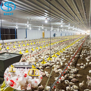 อุปกรณ์ฟาร์มสัตว์ปีกแบบกรงไก่เนื้อสมัยใหม่ BOOST Farming พร้อมระบบควบคุมสภาพแวดล้อม สำหรับไก่เนื้อและไก่ไข่ - Product Image 5