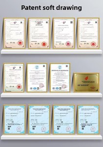 [Cargador de Batería para Auto DC-DC] Asistente de Energía para Vehículos de 1000W 60A con Función de Extracción de Energía en Reversa - Product Image 6