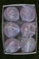 Balles de cricket en cuir faites à la main de qualité supérieure 6 AK Rouge Lot de 4 156g PK AK Modèle international AKR0023