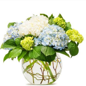 Высококачественный чистый натуральный экстракт гортензии макрофильной в порошке <span class=keywords><strong>10</strong></span>:<span class=keywords><strong>1</strong></span>, водорастворимый порошок гортензии макрофильной, пищевой класс - Product Image 2