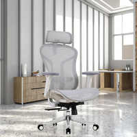 Chaise de bureau pivotante ergonomique moderne en maille de haute qualité avec soutien lombaire réglable Caractéristiques réglables